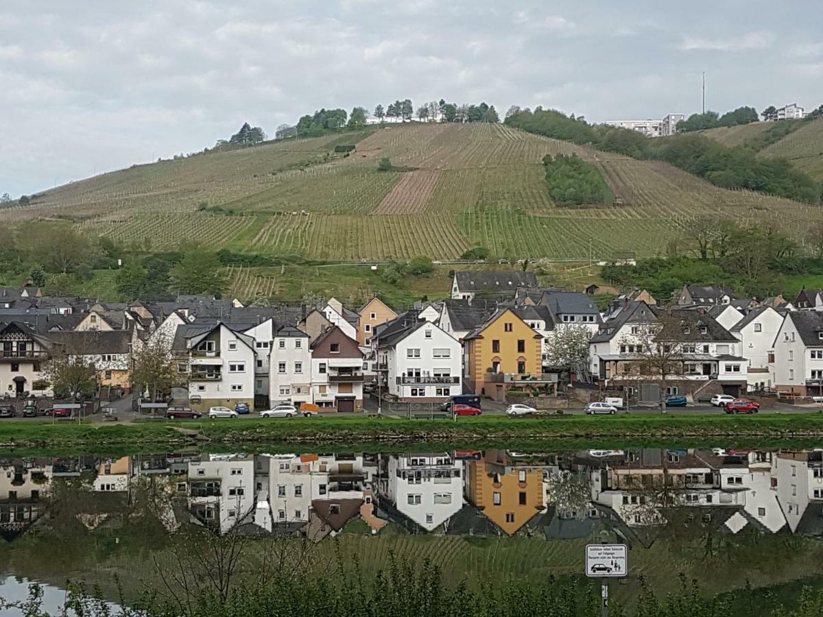 Haus Marlene Apartment Zell an der Mosel Luaran gambar