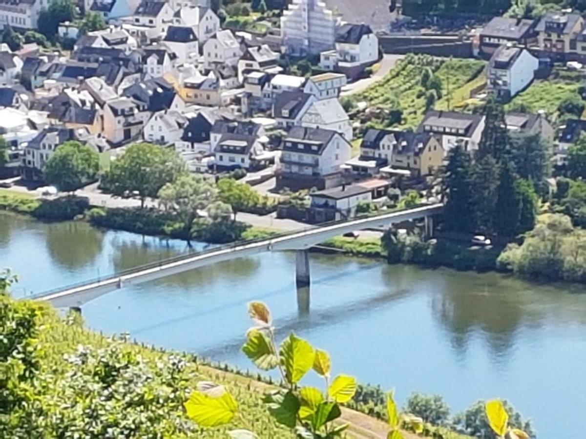 Haus Marlene Apartment Zell an der Mosel Luaran gambar
